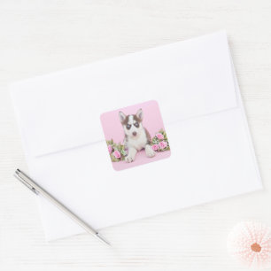 Vackert Husky Puppy med Rosa ros Fyrkantigt Klistermärke