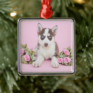 Vackert Husky Puppy med Rosa ros Julgransprydnad Metall