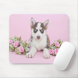 Vackert Husky Puppy med Rosa ros Musmatta