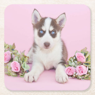 Vackert Husky Puppy med Rosa ros Underlägg Papper Kvadrat