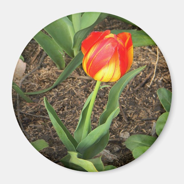 Vackert i Vår ..... Magnet (Framsidan)