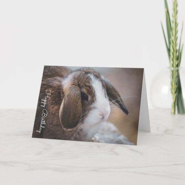 Vackert kanin Personlig Birthday Card Kort (Framsida)