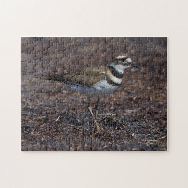Vackert Killdeer vid Beach Pussel (Horisontell)