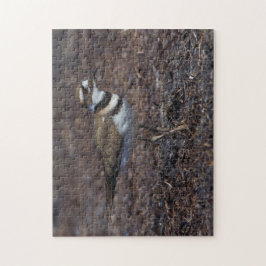 Vackert Killdeer vid Beach Pussel