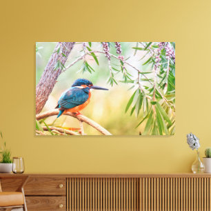 Vackert Kingfisher Bird på en Träd Limb Canvastryck