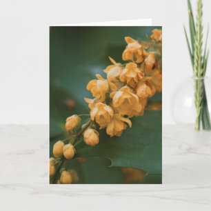 Vackert kort för blomsterfotografi