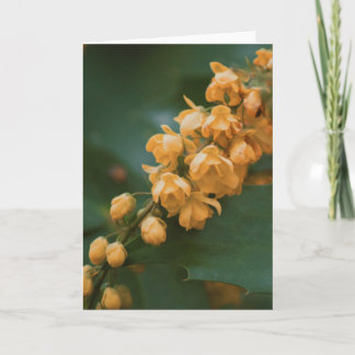 Vackert kort för blomsterfotografi