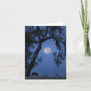 Vackert kort för häst och Måne Blank Note Card
