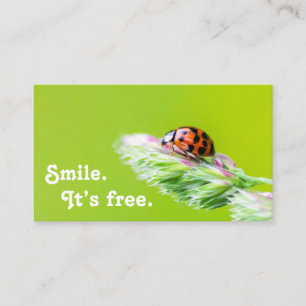 Vackert ladybug med ett positivt motiveringscitat visitkort