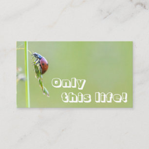 Vackert ladybug med motiverande citat visitkort