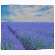 Vackert landskap i lavender fält