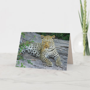 vackert leopardkort kort