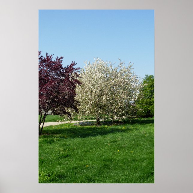 Vackert liggande med Träd Poster (Framsidan)