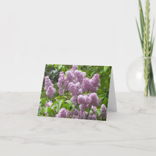 Vackert Lilac Bush Blanka anteckningskort
