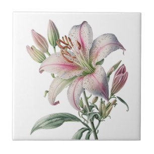 Vackert Lily Vintage Botaniskt keramiskt Tile Kakelplatta