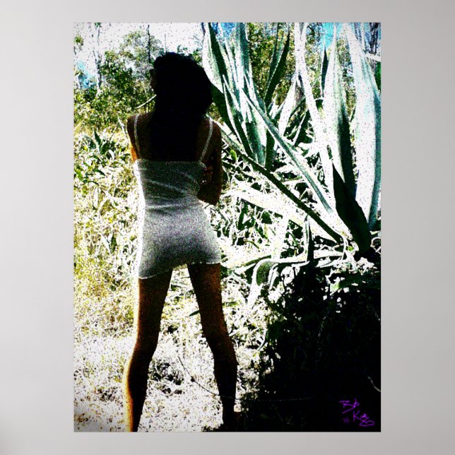 Vackert ljus Poster (Framsidan)