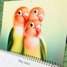 Vackert Lovebird Watercolor Bird Cute Pet Parrot