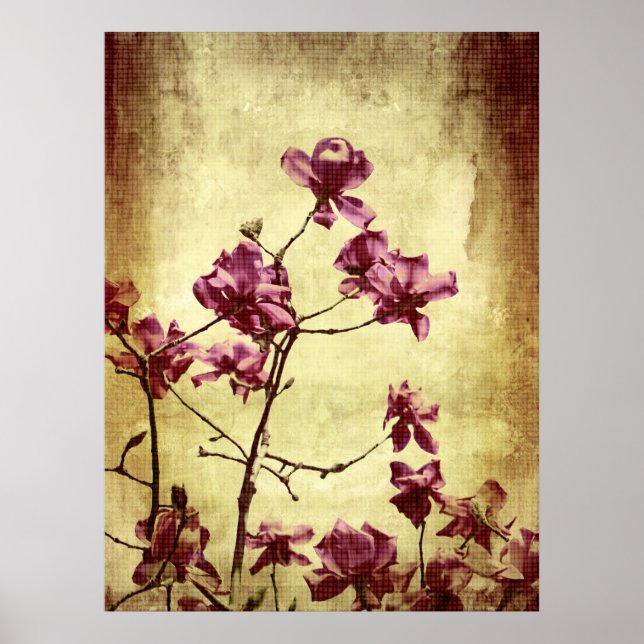 Vackert magnolia på grym bakgrund poster (Framsidan)