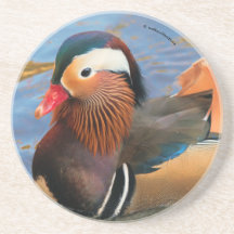 Vackert Mandarin Anka i dammen