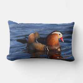 Vackert Mandarin Anka vid dammen Lumbarkudde