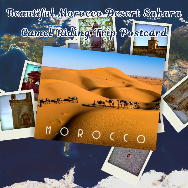 Vackert Marocko Desert Sahara Camel Riding Resa Vykort (Skapare uppladdad)