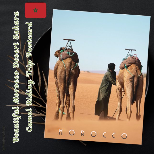 Vackert Marocko Desert Sahara Camel Riding Resa Vykort (Skapare uppladdad)