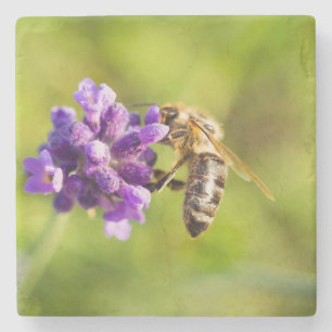 Vackert Matande Bee Stone Underlägg