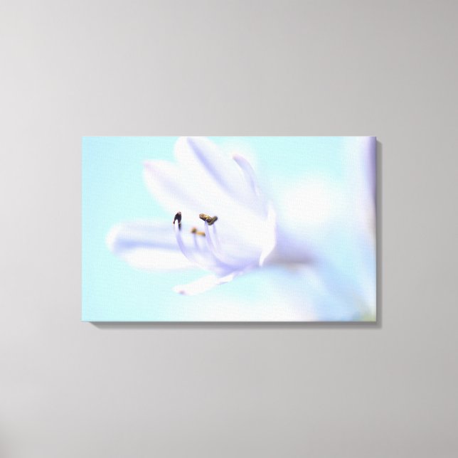 Vackert, mjukt, bläckstråleformat Kanvastryck (Framsida)