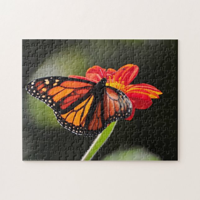 Vackert Monarch Butterfly - Pussel (Horisontell)