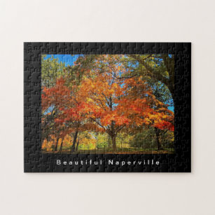 Vackert Naperville - Höst löv Pussel