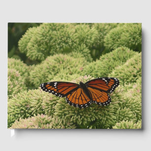 Vackert naturfoto från Viceroy Butterfly Gästböcker