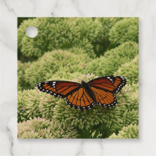Vackert naturfoto från Viceroy Butterfly Gåvor Etiketter