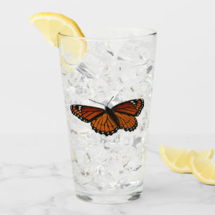 Vackert naturfoto från Viceroy Butterfly Glaskopp