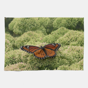 Vackert naturfoto från Viceroy Butterfly Kökshandduk