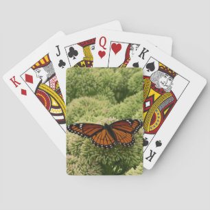 Vackert naturfoto från Viceroy Butterfly Kortlek