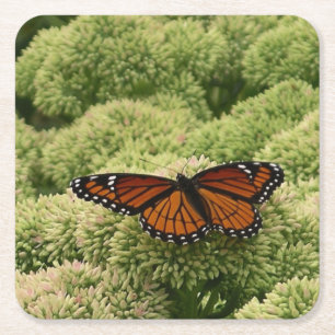Vackert naturfoto från Viceroy Butterfly Underlägg Papper Kvadrat