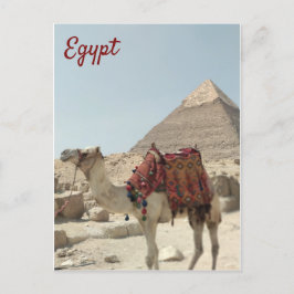 Vackert orientaliskt vykort för Pyramids Camel Egy