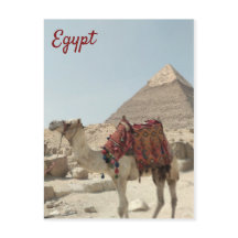 Vackert orientaliskt vykort för Pyramids Camel Egy
