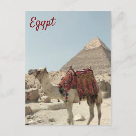 Vackert orientaliskt vykort för Pyramids Camel Egy