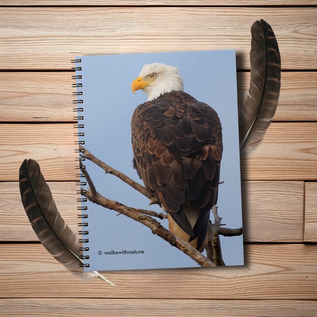 Vackert Örn i Träd Anteckningsbok (Beautiful Bald Eagle in a Tree Journal Cover Photo)