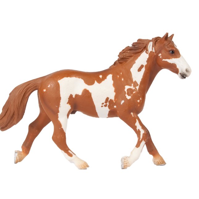 Vackert Paint Horse T Shirt (Skapare uppladdad)