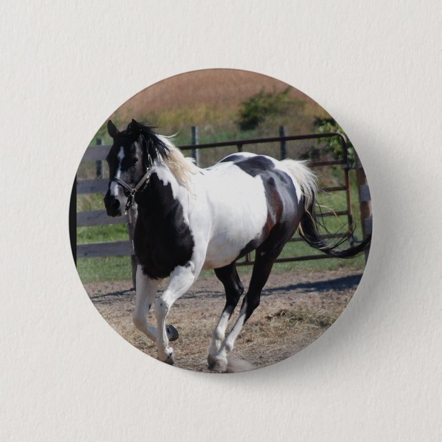 Vackert Paint Pinto Horse Knapp (Framsida)