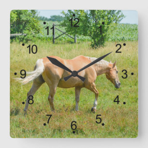 Vackert Palomino Horse Land Fyrkantig Klocka