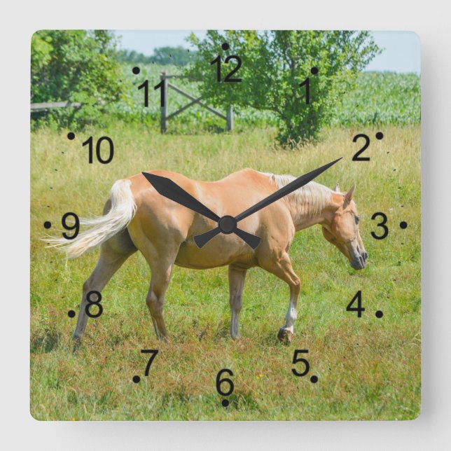 Vackert Palomino Horse Land Fyrkantig Klocka (Framsida)