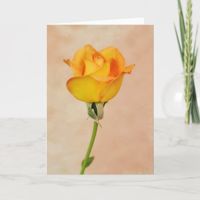 Vackert Peach Gult Orange Ro Art Note Card Kort (Framsida)