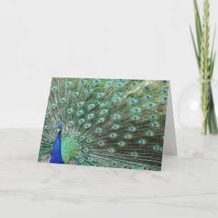 Vackert Peacock som just sa Hej Card Kort