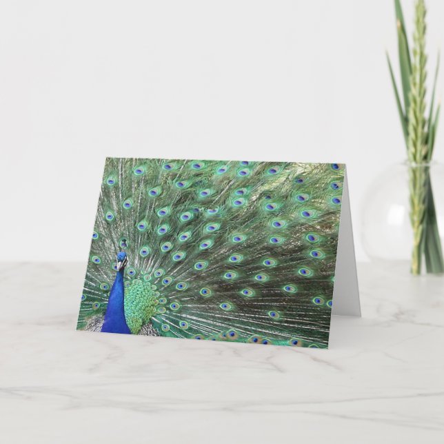 Vackert Peacock som just sa Hej Card Kort (Framsida)