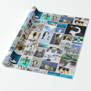 Vackert Penguin Photo Collage Mönster Presentpapper