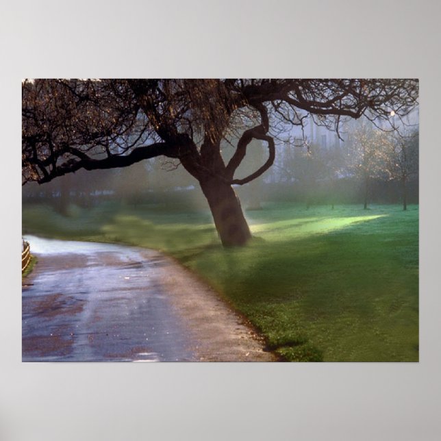 Vackert poster (Framsidan)