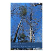 Vackert Poster på helgdagen